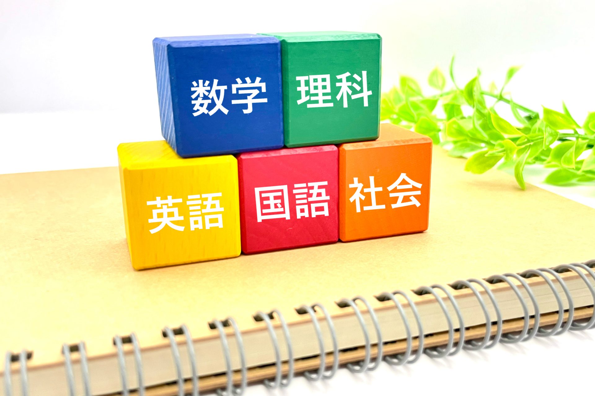 加茂